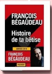 Histoire De Ta Bêtise Bégaudeau François