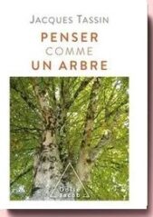 penser comme un arbre